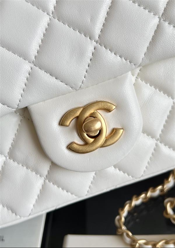 2026131214159763 510